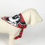 Disney Minnie Mouse Set Regalo de Bienvenida para perros, , large indicador imagen numero 5