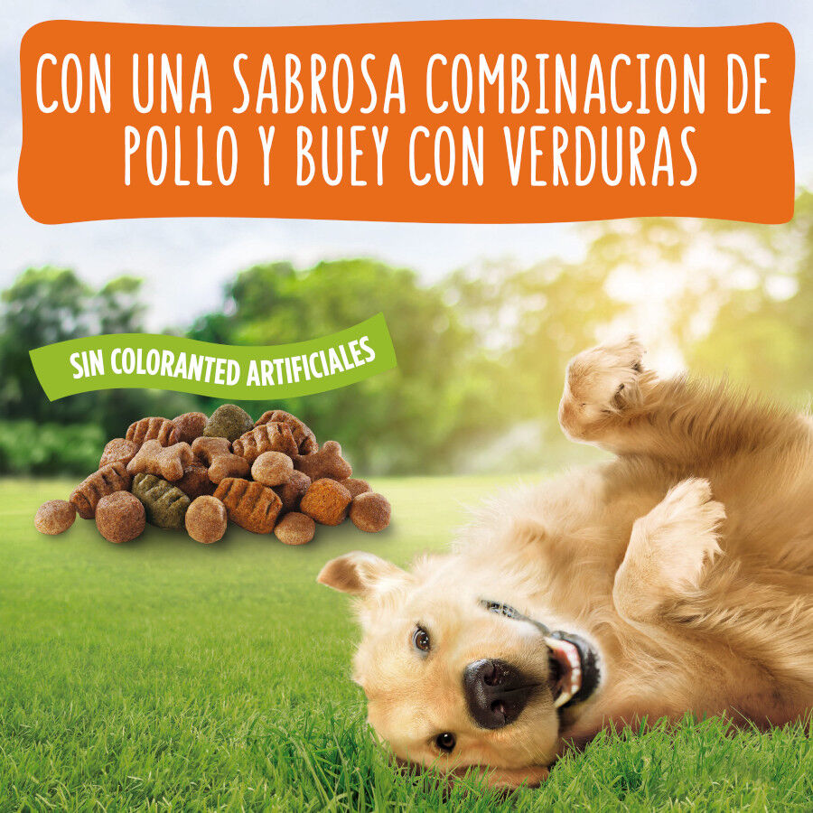 Friskies Adult Pollo y Verduras pienso para perros thumbnail