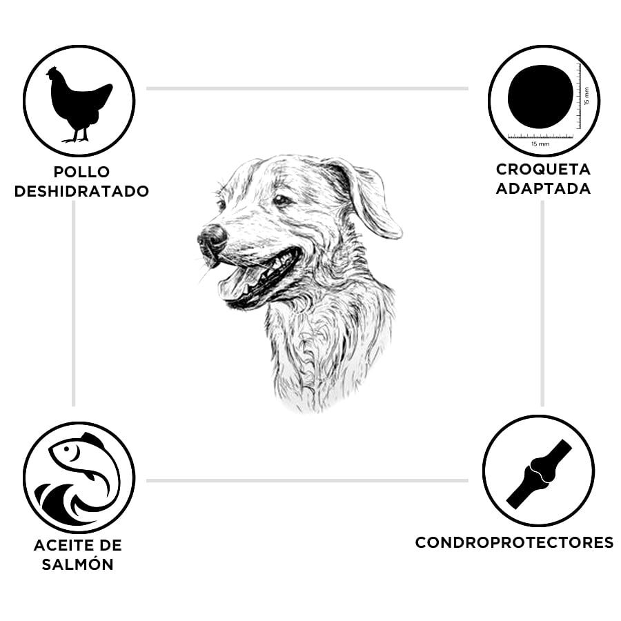 15 kg Criadores Pollo y Arroz pienso para cachorros de razas grandes, , large Imagen numero 3