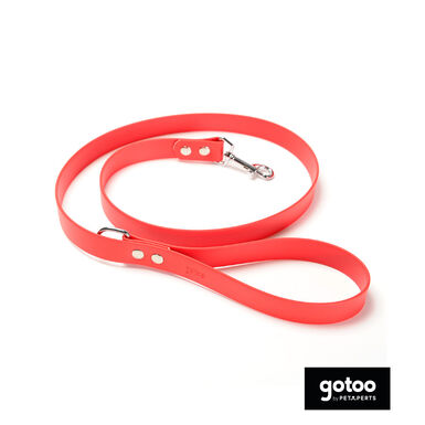 Gotoo Correa Biothane roja para perros