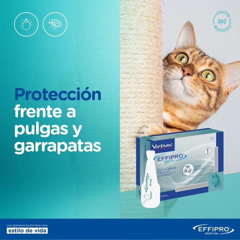 Effipro Pipetas Antiparasitarias para gatos thumbnail