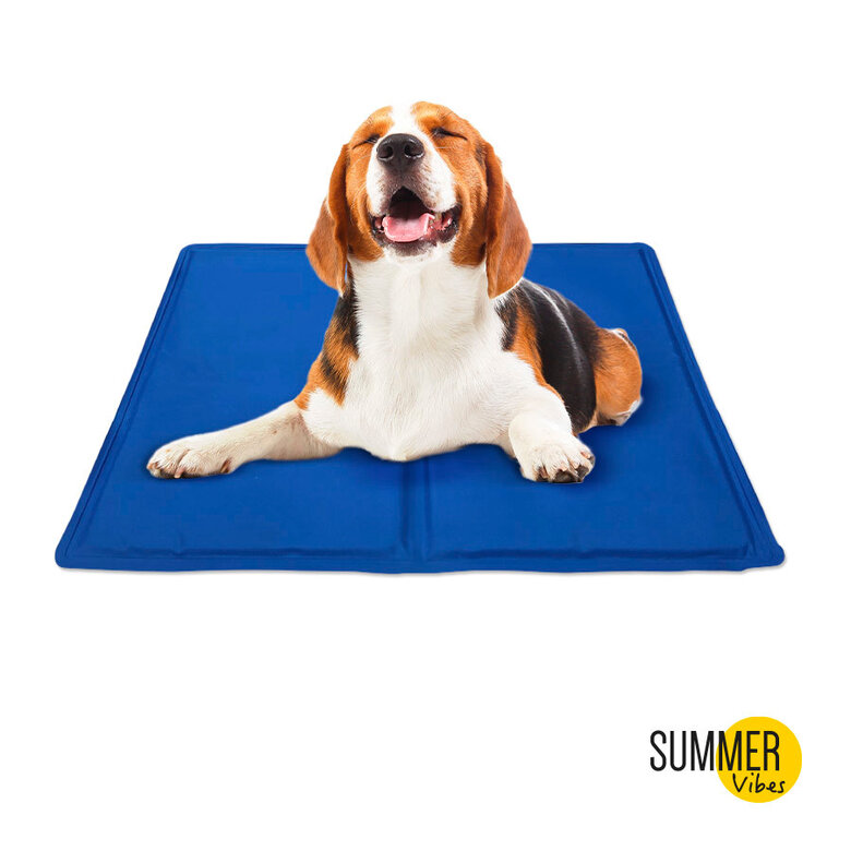 Summer Vibes Manta Refrescante Azul para perros,  Imagen numero 2 Summer Vibes Manta Refrescante Azul para perros, , large Imagen numero 2