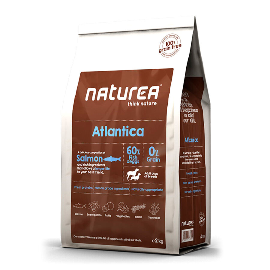 2 kg Naturea GF Atlantica Salm&oacute;n pienso para perros, , large Imagen numero 1