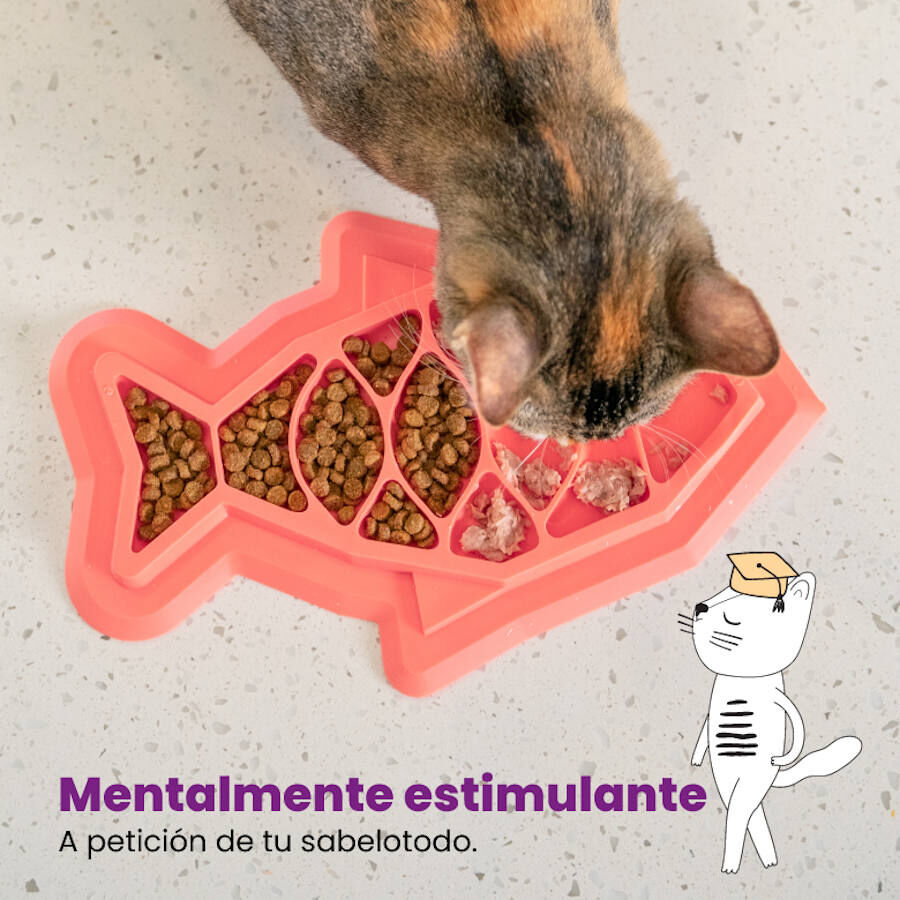 Catstages Fishie Fun Pez de Juguete Dispensador de Comida para gatos thumbnail