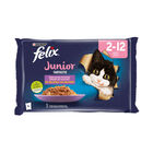 Felix Fantastic Junior sabores combinados en gelatina image number null