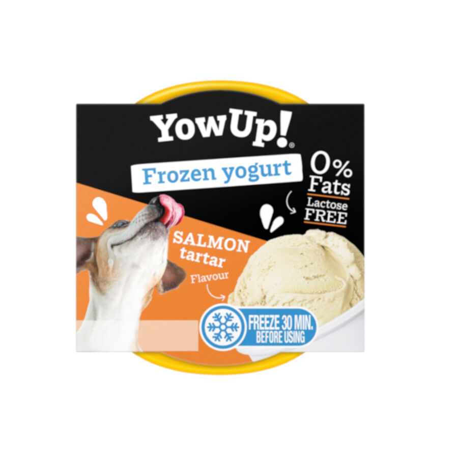 6 tarrinas x 110 g YowUp! Yogur Helado Natural Tartar De Salm&oacute;n Para Perros y gatos &iexcl;Pack Ahorro!, , large Imagen numero 1