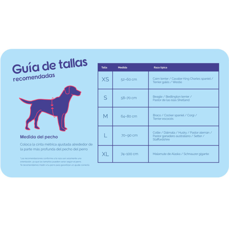 Halti arnés acolchado de nylon rojo para perros,  Imagen numero 4 Halti arnés acolchado de nylon rojo para perros, , large Imagen numero 4