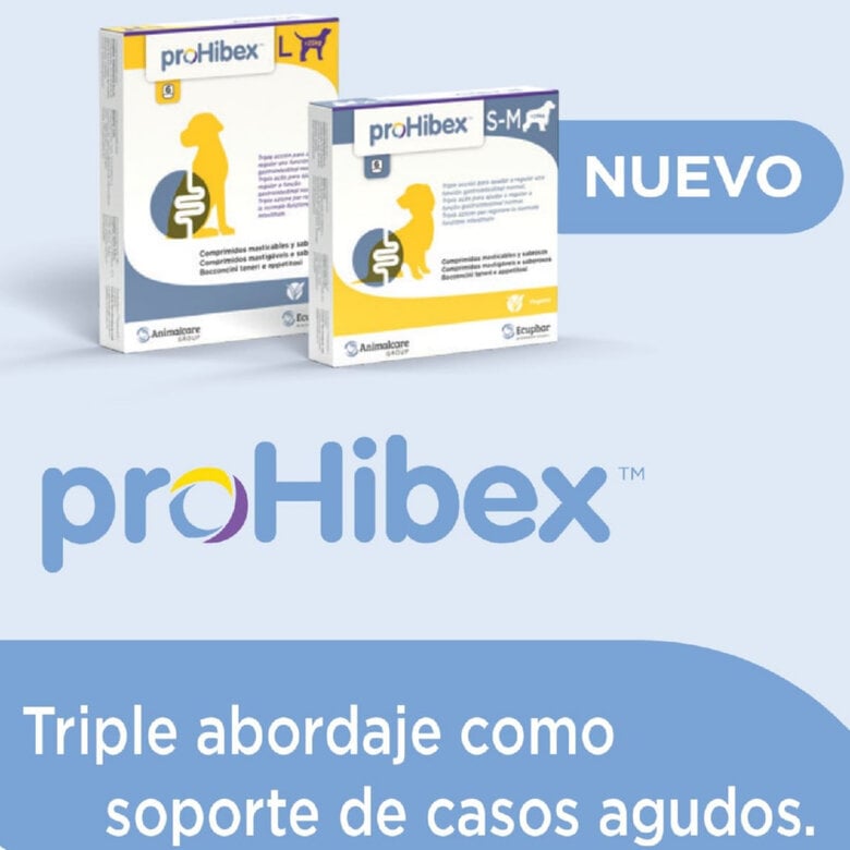 6 comprimidos (Perros -25 kg) Ecuphar Prohibex Suplemento Gastrointestinal para perros,  Imagen numero 2 6 comprimidos (Perros -25 kg) Ecuphar Prohibex Suplemento Gastrointestinal para perros, , large Imagen numero 2
