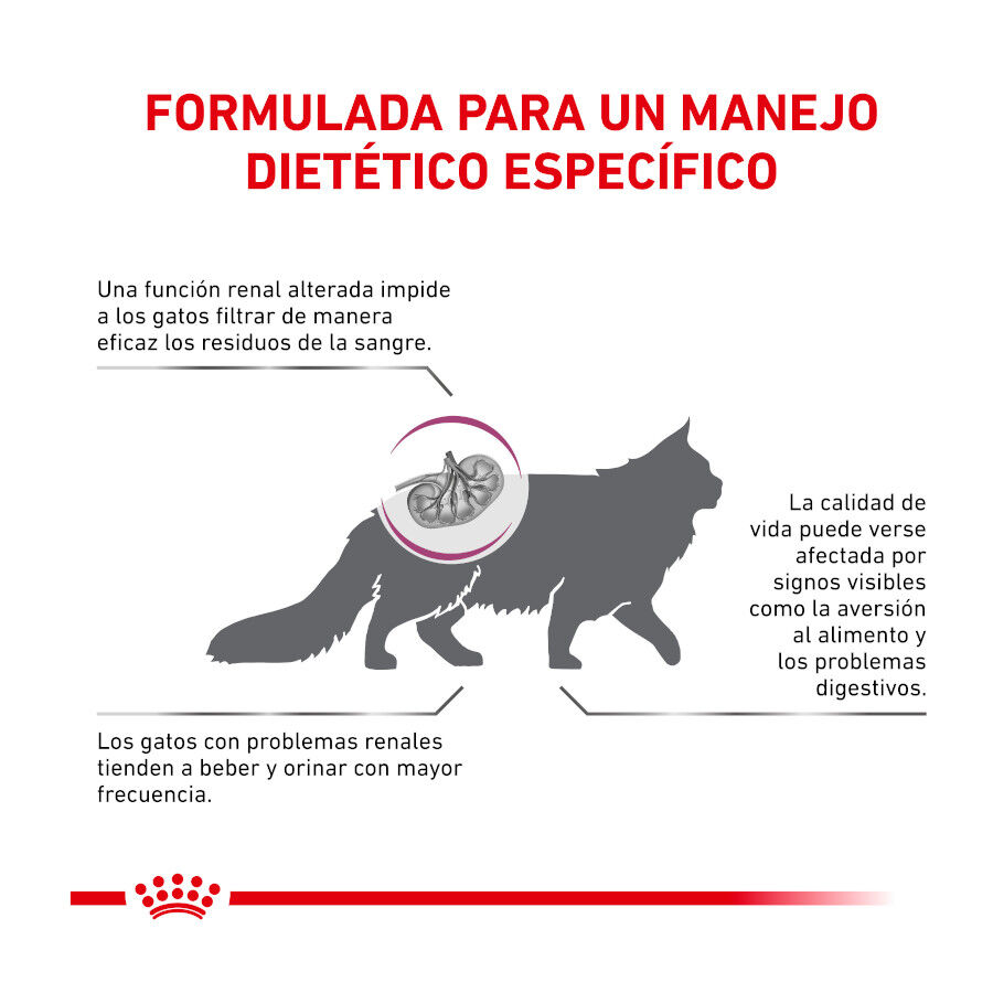 Royal Canin Veterinary Renal Select pienso para gatos thumbnail