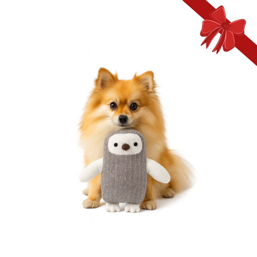 Wonder Christmas Peluche Forest Owl Búho para perros thumbnail