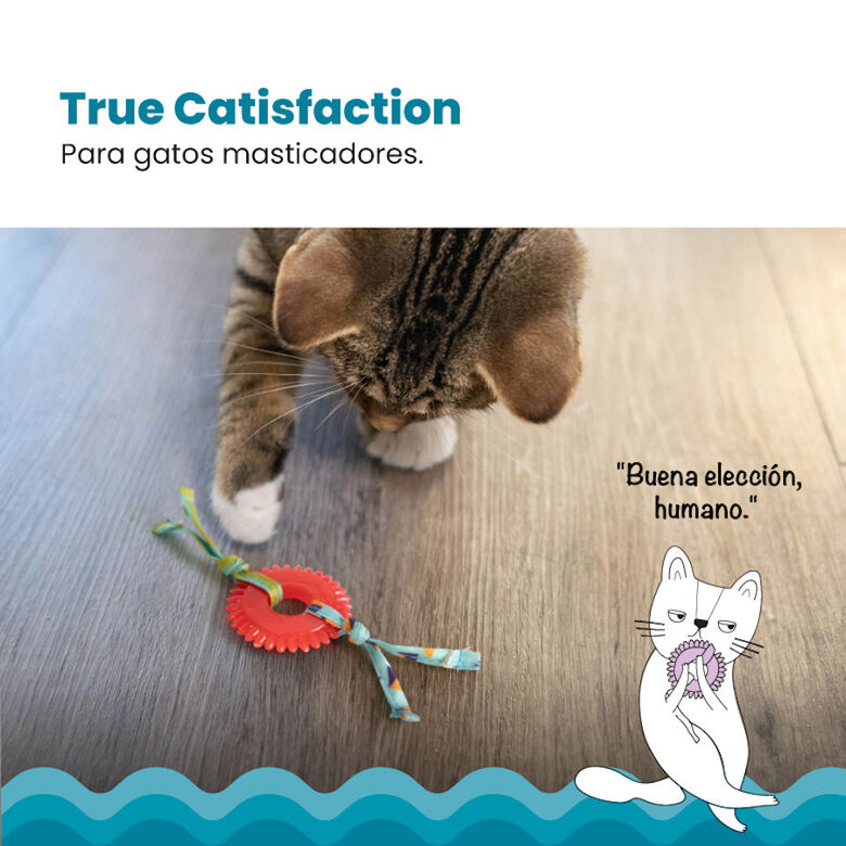 Catstages Kitty Chew Roja Rueda Mordedor para gatos thumbnail