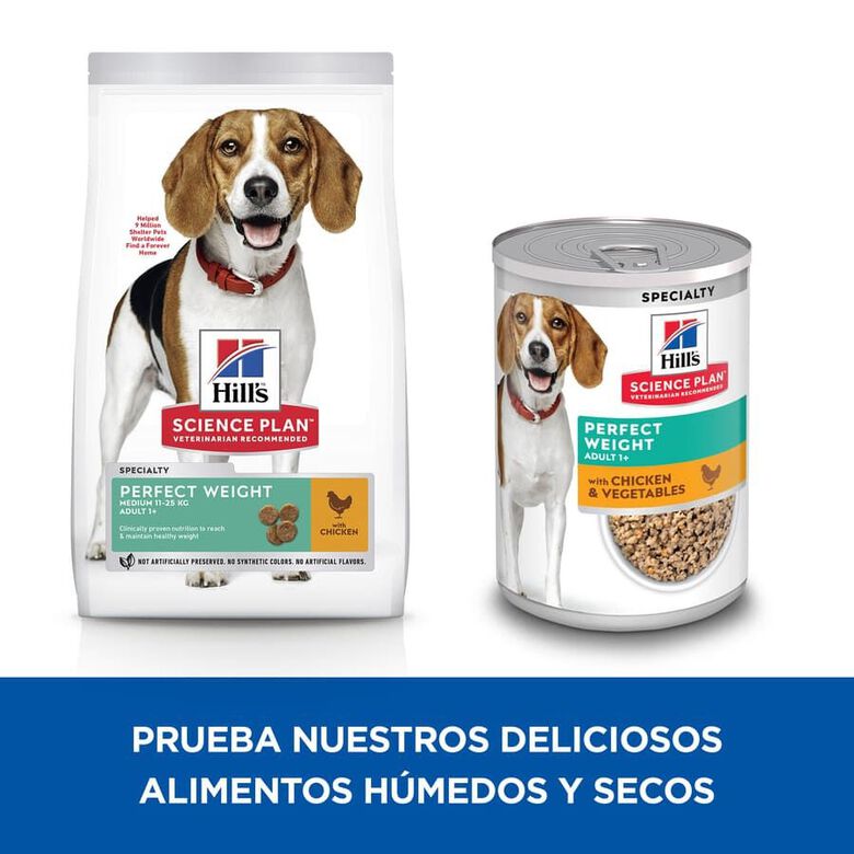 Hill&#039;s Science Plan Perfect Weight Adult Medium Pollo pienso para perros thumbnail