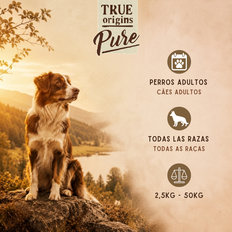 300 g True Origins Pure Adult Gently Coocked Pavo y Patata sobre para perros, , large Imagen numero 4