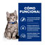 12 latas x 85 g Hill's Prescription Diet I/D Digestive Care Kitten Lata Pollo para gatos, , large indicador imagen numero 3