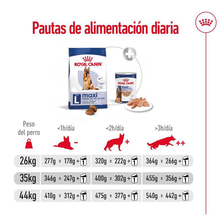 Royal Canin Maxi Adult 5+ pienso para perros senior de raza grande thumbnail