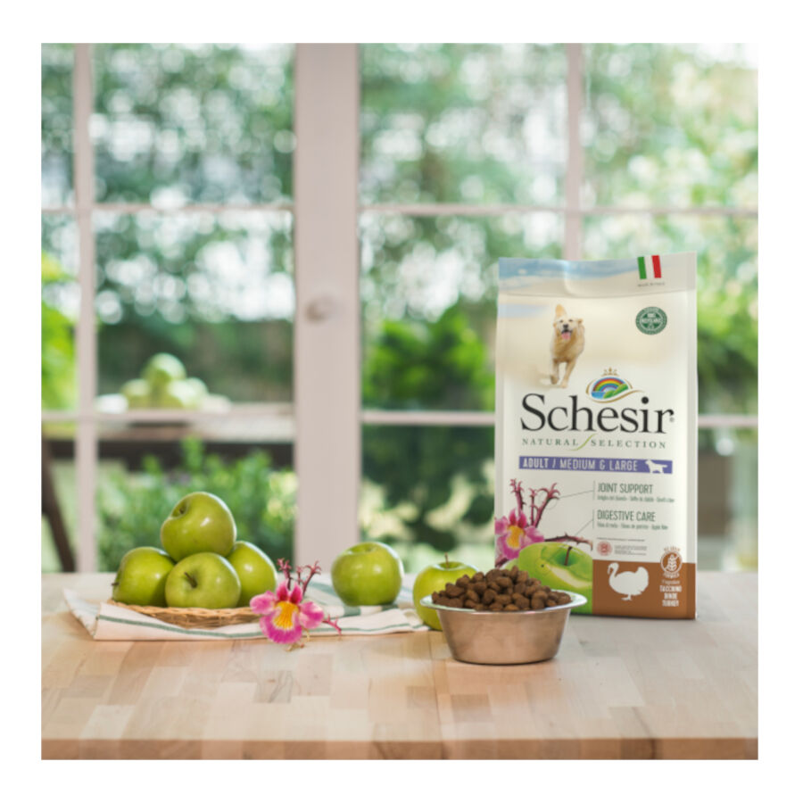 2.24 kg Schesir Adult Medium&Large Natural Selection Pavo pienso para perros, , large Imagen numero 6