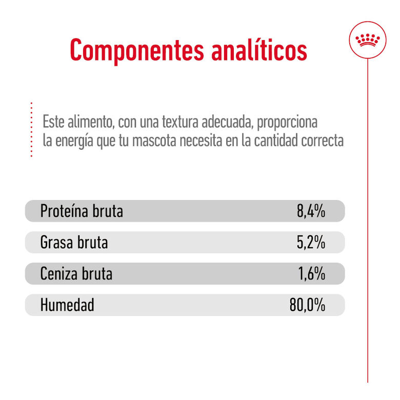 Royal Canin Maxi Ageing 5+ Paté lata para perros thumbnail