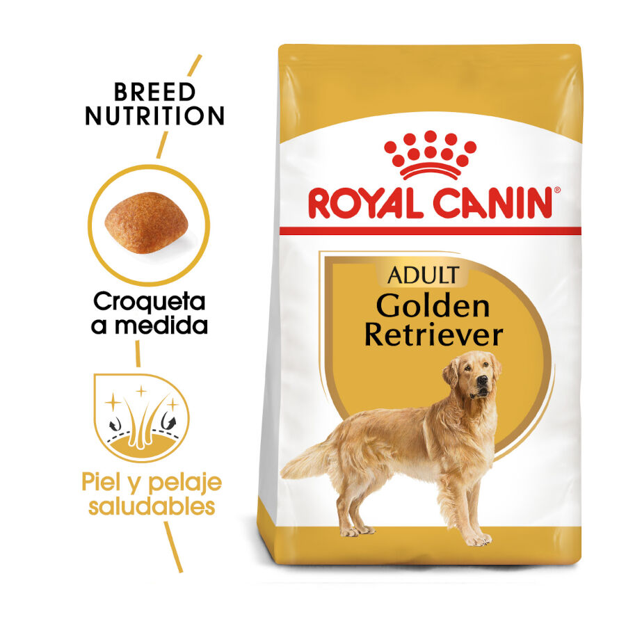 Royal Canin Adult Golden Retriever pienso para perros thumbnail