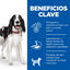 370 g Hill's Science Plan Adult ternera lata para perros, , large indicador imagen numero 3