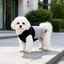 Gotoo Chaqueta Azul y Gris para perros, , large indicador imagen numero 1