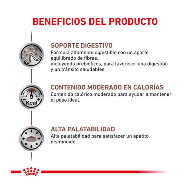 12 sobres x 85 g Royal Canin Veterinary Gastrointestinal Moderate Calorie sobre para gatos,  Imagen numero 3 12 sobres x 85 g Royal Canin Veterinary Gastrointestinal Moderate Calorie sobre para gatos, , large Imagen numero 3