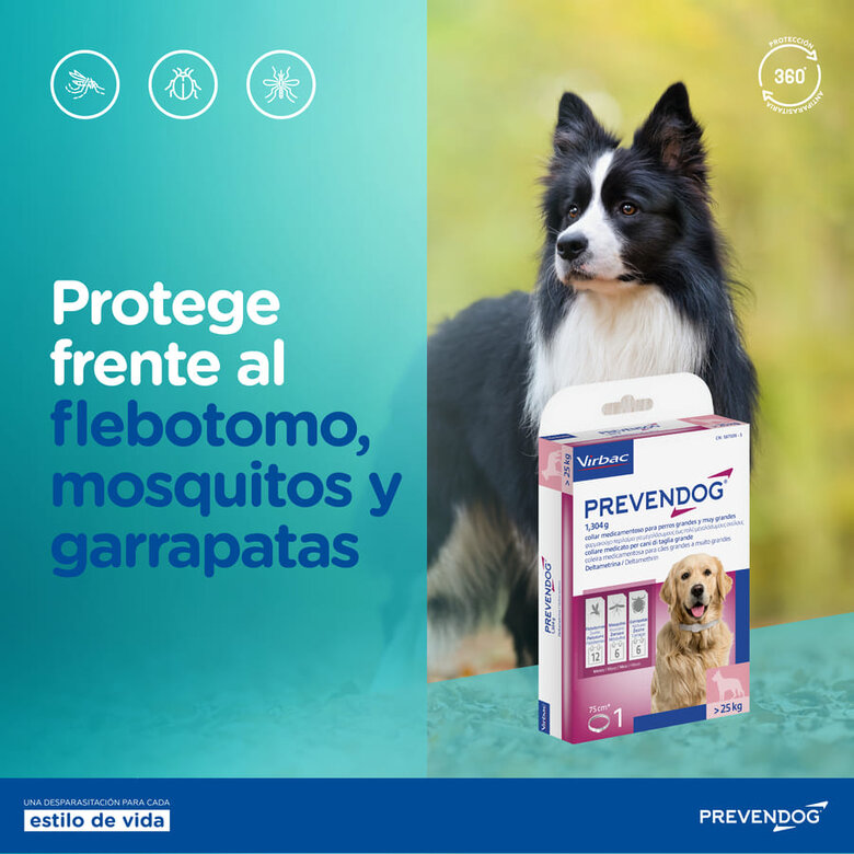 Virbac Prevendog Collar Antiparasitario para perros,  Imagen numero 7 Virbac Prevendog Collar Antiparasitario para perros, , large Imagen numero 7