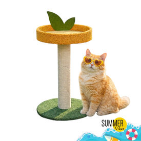 Summer Vibes Poste Rascador Fruta Naranja para gatos