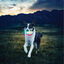Nite Ize Glowstreak Disc-O LED Pelota para perros, , large indicador imagen numero 6