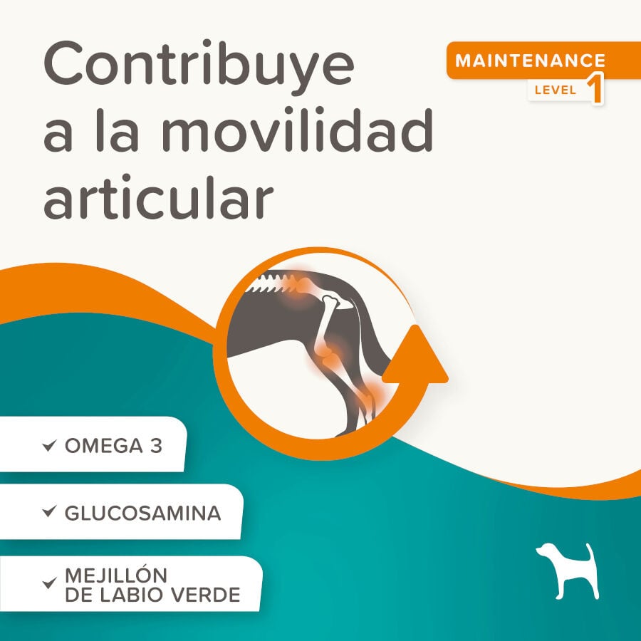 Beaphar Sticks Flexifit para perros thumbnail