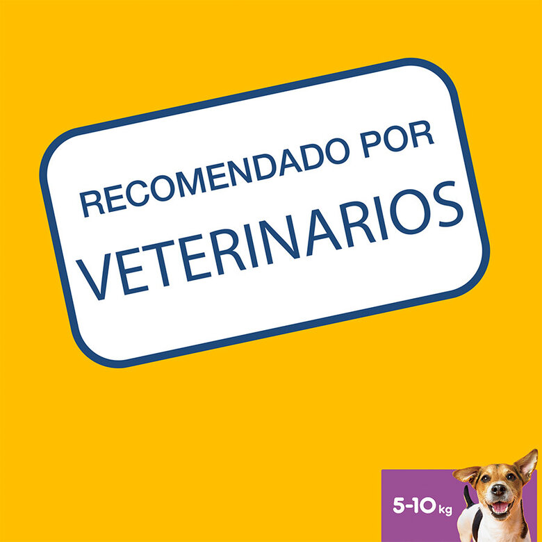 Pedigree Dentastix Snacks Dentales para Perros Pequeños, , large image number null