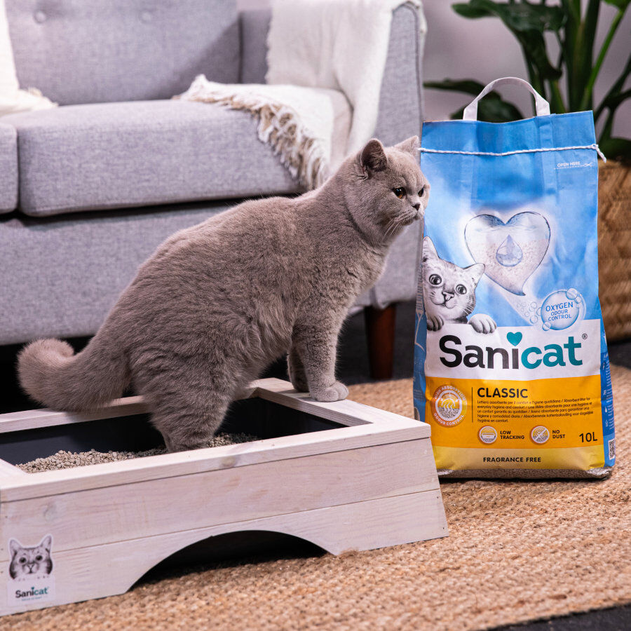 Sanicat Classic Arena absorbente sin perfume para gatos thumbnail