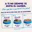 12 x 85 g Edgard & Cooper Selecci&oacute;n Captura del D&iacute;a sobre en salsa para gatos, , large indicador imagen numero 9