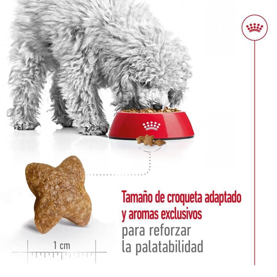 Royal Canin Mini Adult pienso para perros thumbnail