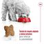 9 kg (8 + 1 kg grátis!) Royal Canin Mini Adult pienso para perros, , large indicador imagen numero 7