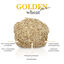Golden Grey Trigo Arena Aglomerante para gatos, , large indicador imagen numero 6