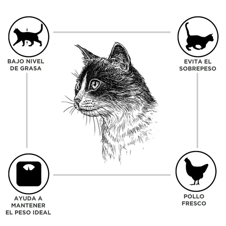 12 kg Criadores Adulto Esterilizado Pollo pienso para gatos,  Imagen numero 2 12 kg Criadores Adulto Esterilizado Pollo pienso para gatos, , large Imagen numero 2