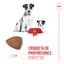 4 kg Royal Canin Starter MotheryBaby Mini pienso para perros, , large indicador imagen numero 5