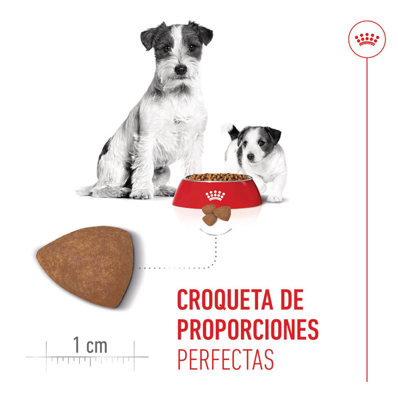 8 kg Royal Canin Starter MotheryBaby Mini pienso para perros,  Imagen numero 5 8 kg Royal Canin Starter MotheryBaby Mini pienso para perros, , large Imagen numero 5