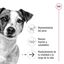 3.5 kg Royal Canin Mini 12+ Ageing pienso para perros, , large indicador imagen numero 5