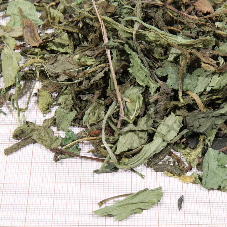 JBL Proterra Herbil alimento para tortugas thumbnail