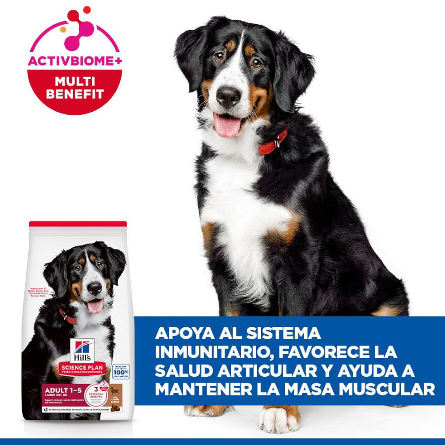 Hill&#039;s Science Plan Adult Large Breed pienso cordero y arroz para perros de razas grandes thumbnail