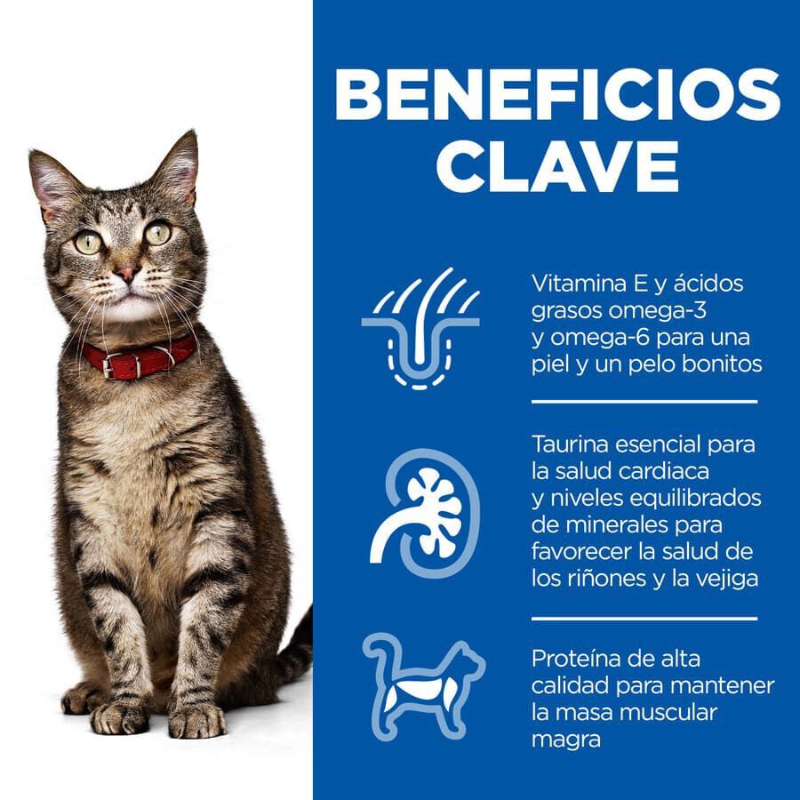 Hill&#039;s Science Plan Adult Atún pienso para gatos thumbnail