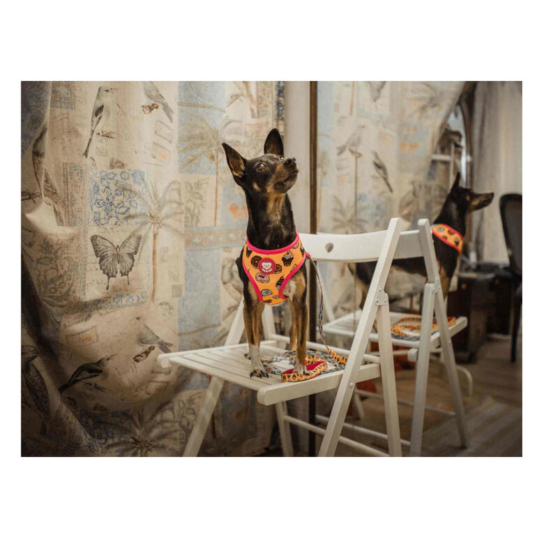 Dukier Arnés Reversible Estampado Donuts para perros, , large image number null
