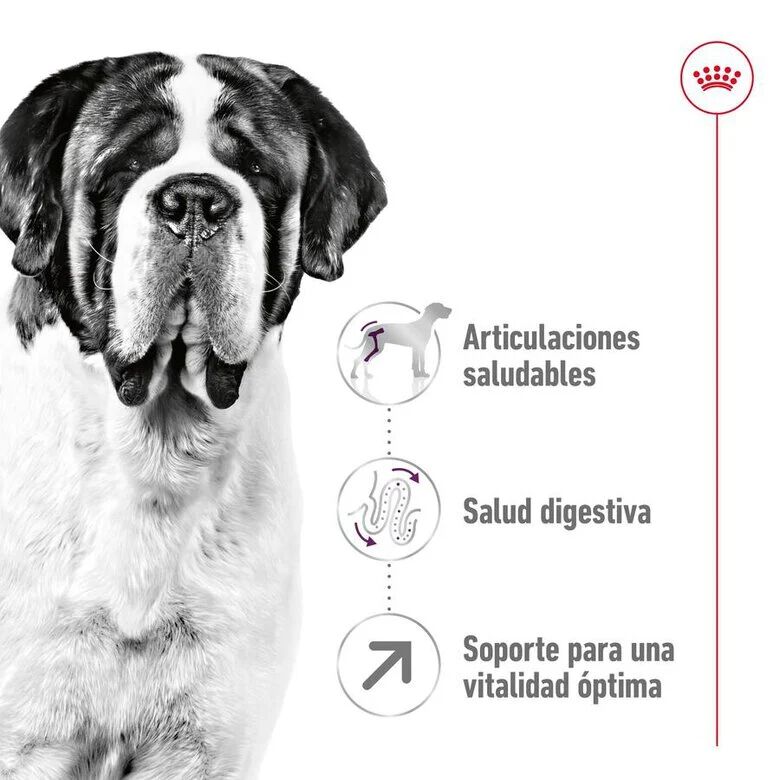 Royal Canin Giant Adult pienso para perros thumbnail