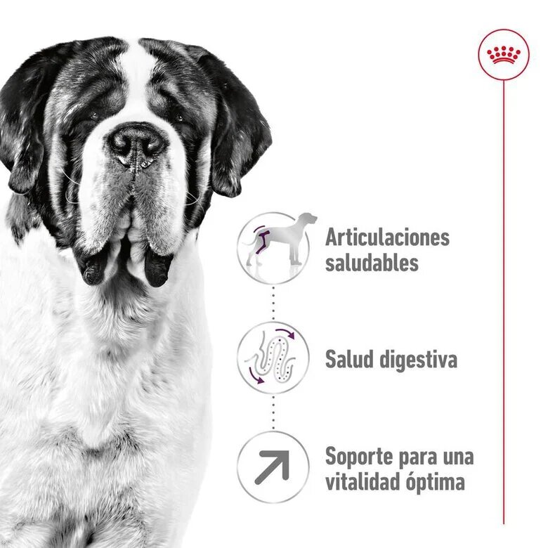 15 kg Royal Canin Giant Adult pienso para perros,  Imagen numero 5 15 kg Royal Canin Giant Adult pienso para perros, , large Imagen numero 5