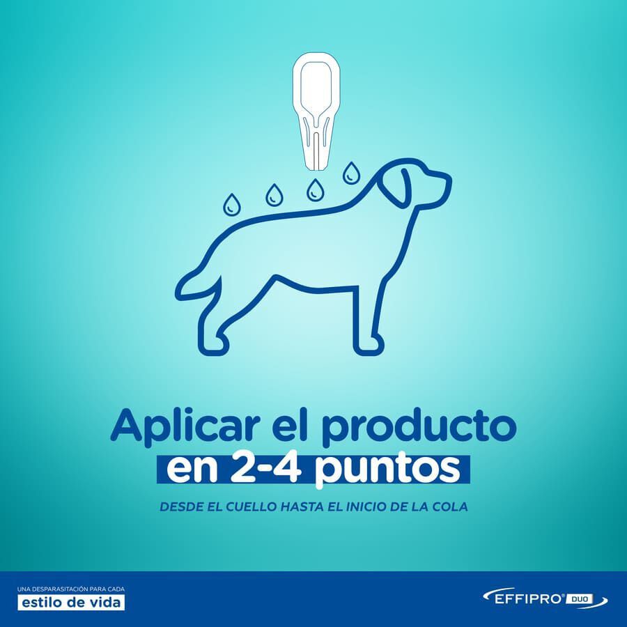 Effipro Duo pipetas antiparásitos para perros thumbnail