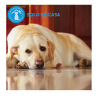 Adaptil Collar Tranquilizante para perros, , large image number null