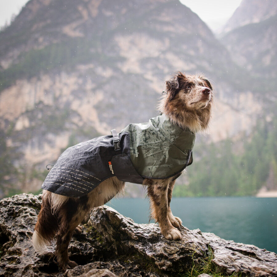Non-stop dogwear Fjord Chubasquero Impermeable Negro y Verde para perros thumbnail