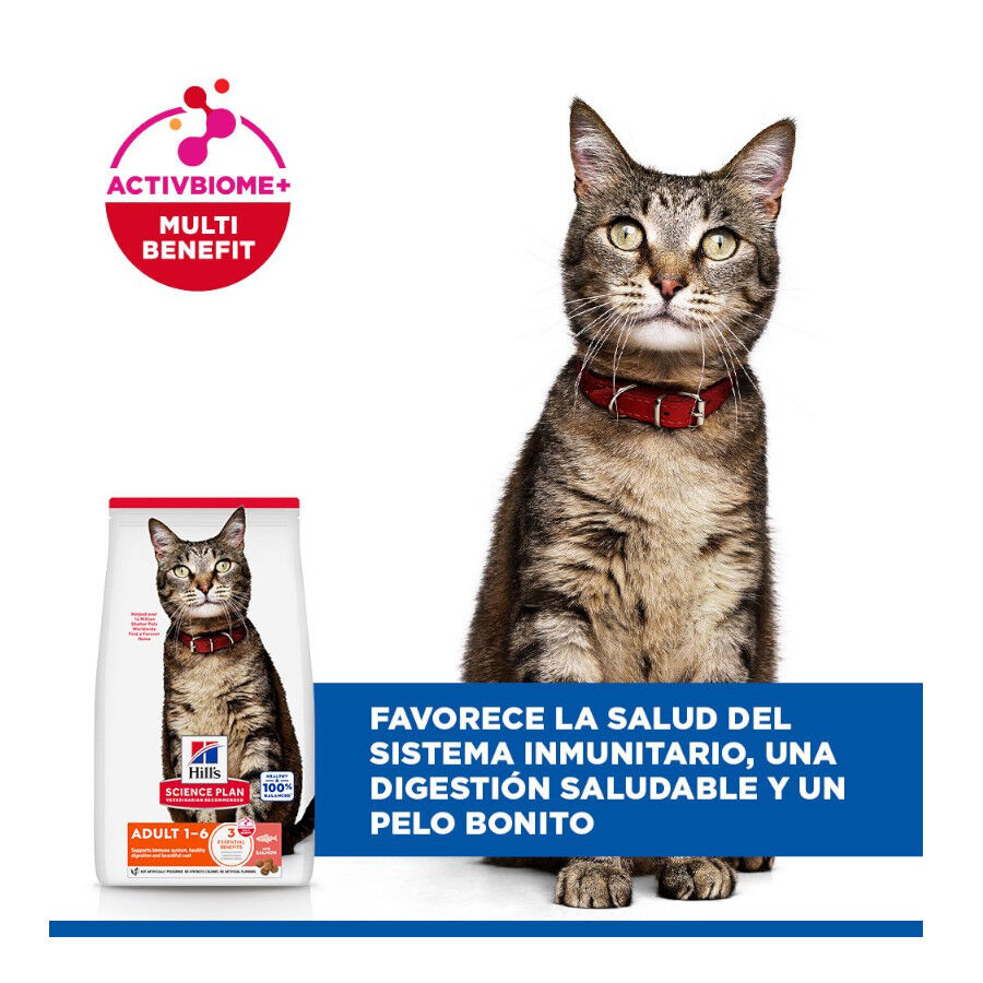 1.5 kg Hill's Science Plan Adult Pienso Salm&oacute;n para gatos, , large Imagen numero 4