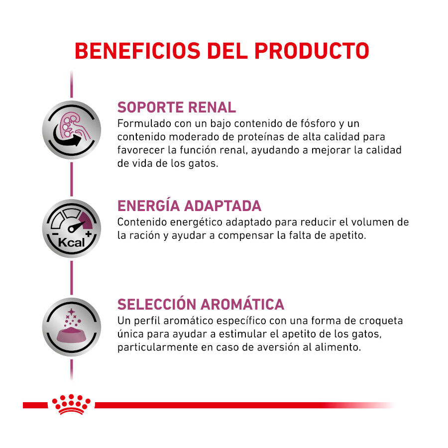 Royal Canin Veterinary Renal pienso para gatos thumbnail